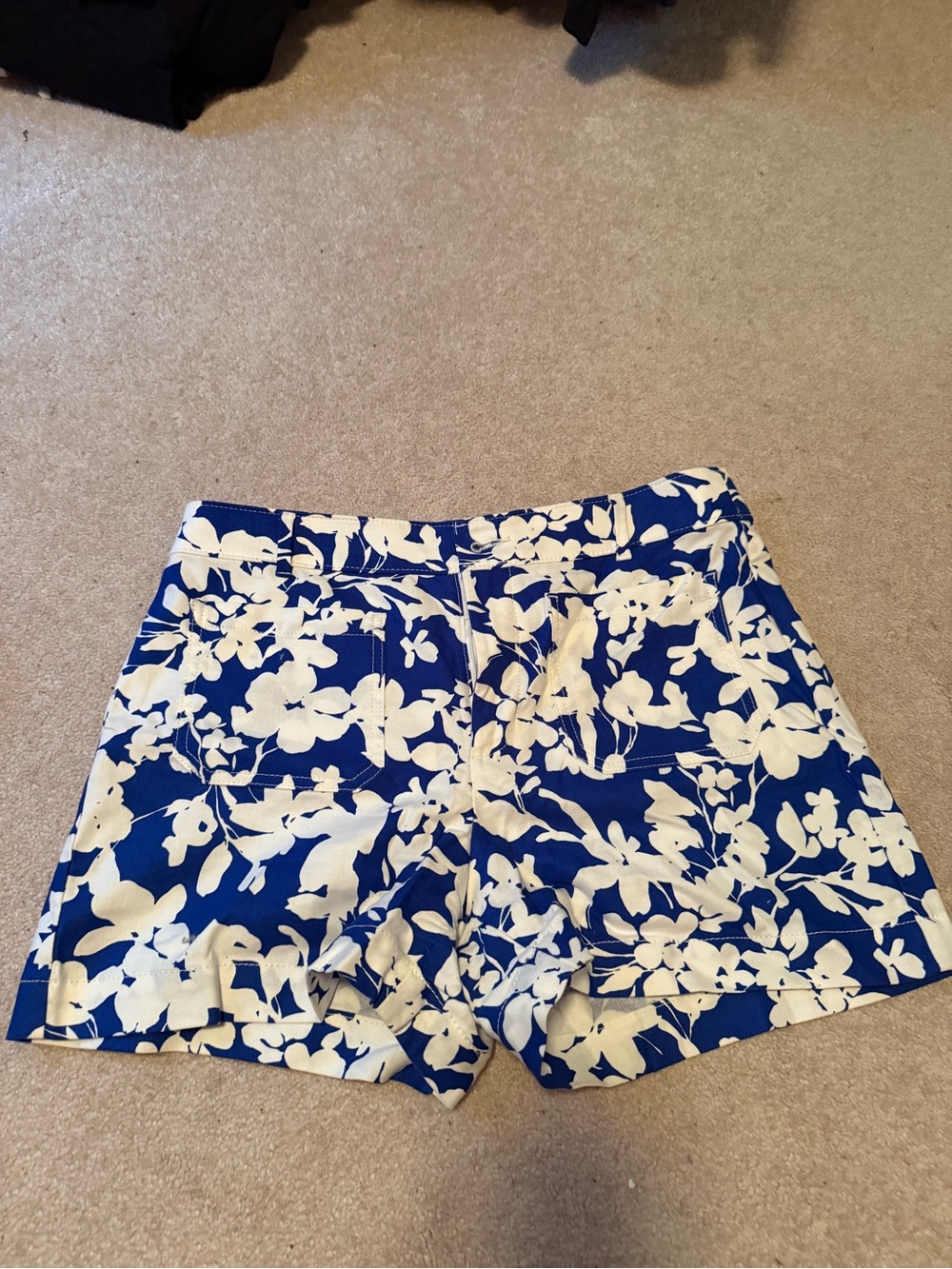 Loft new without tags blue and white shorts size 8